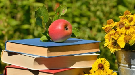 educatia-360-apple-books