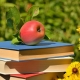 educatia-360-apple-books